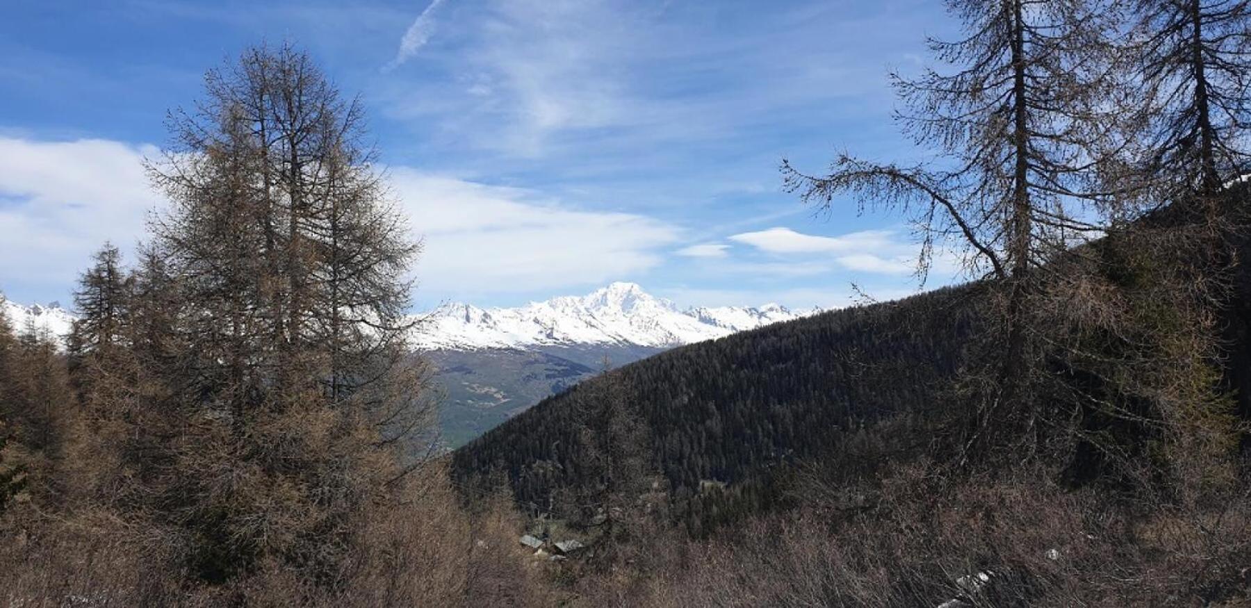 Macot-la-Plagne Residence Plagne Lauze - Maeva Home - Appartement 2 Pieces 5 Personnes - Confort Mae-9202 מראה חיצוני תמונה